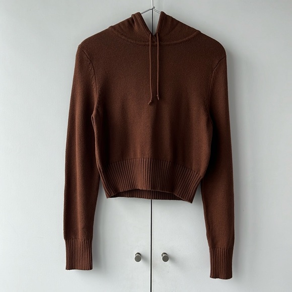 Sunday Best Sweaters - NWT Aritzia Sunday Best Spice Hoodie XS